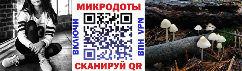 Галлюциногенные грибы мухоморы  наркошоп  Себеж 